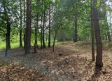 20240617_104615.jpg
