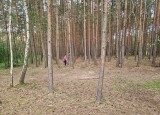20240617_104111.jpg