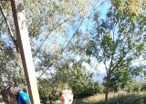 20240925_095035.jpg