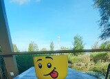 20240925_101655.jpg