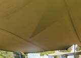 20240925_091242.jpg